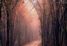 赛前速览：法网八强战辽宁男篮对阵多特蒙德，三大看点值得期待(辽宁篮球今晚比赛直播)